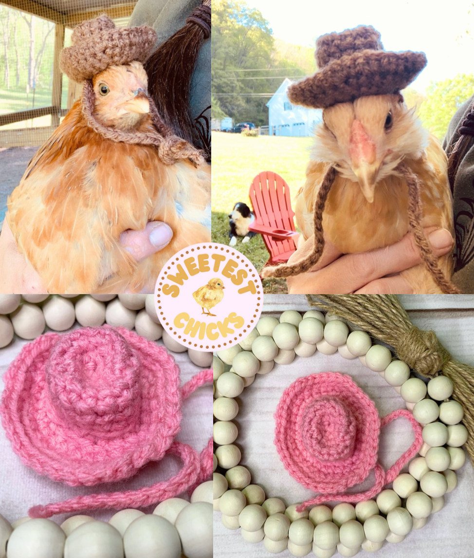 Hand Crocheted Howdy Partner Cowboy Hat for Chickens, Chicken Dress Up Photo Prop, Country Chicken Hat, Mini Cowboy Hat, Cowgirl Hat Chicks