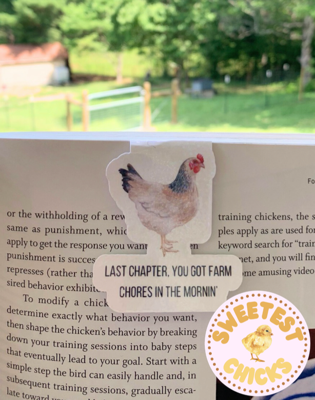 Chicken Magnetic Bookmark "Last Chapter, You Got Farm Chores in the Mornin'", Funny Bookmarker for a Chicken Farmer, Chicken Lover Gift, Fun