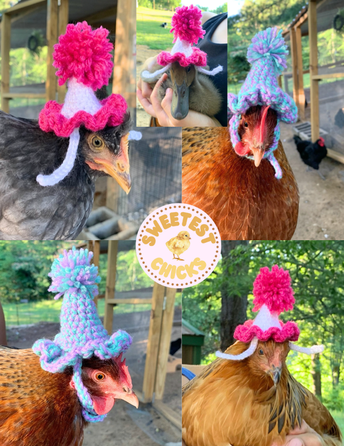 Crochet Chicken Duck Birthday Hat w/ Ruffle and Pom Pom, Poultry Celebration Photoshoot Accessory, Fun Birthday Gift Chicken Bantam Dress Up