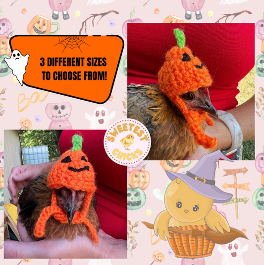 Hand Crocheted Pumpkin Jack O Lantern Hat 3 Sizes Available Bantam, Chicken, Hen, Duck Goose Turkey, Halloween Hat, Orange Pumpkin Photo Hat